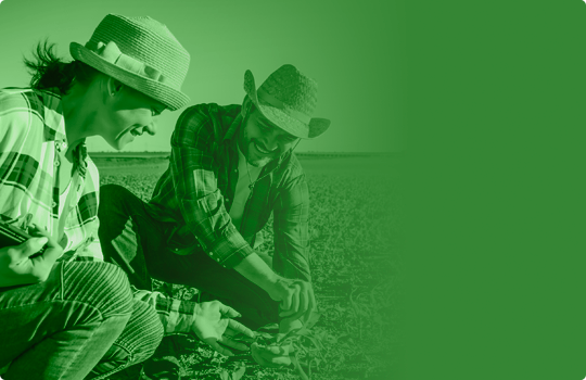 Talentos JC Agricultura